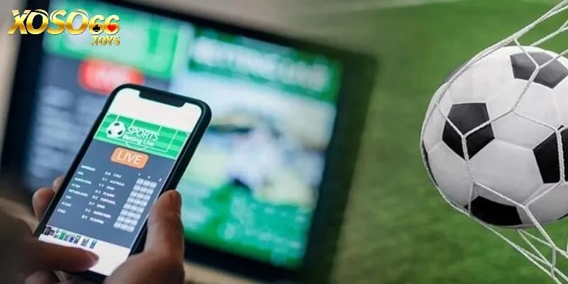 Cá độ bóng đá là bộ môn giải trí trả thưởng lớn